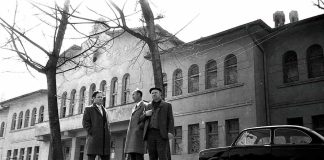 IZGUBLJENO NASLEĐE: SOKOLSKI DOM U UŽICU 1934-1974 (4)