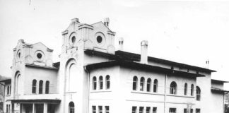 IZGUBLJENO NASLEĐE: SOKOLSKI DOM U UŽICU 1934-1974 (2)