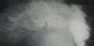 Užičke bekrije, veseljaci i pijanci