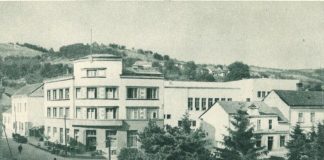 Na kafu kod „Dva bagrema“