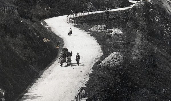 Volujska kola, taljige, fijakeri, dvokolice, čeze… - Kolektiv Užice
